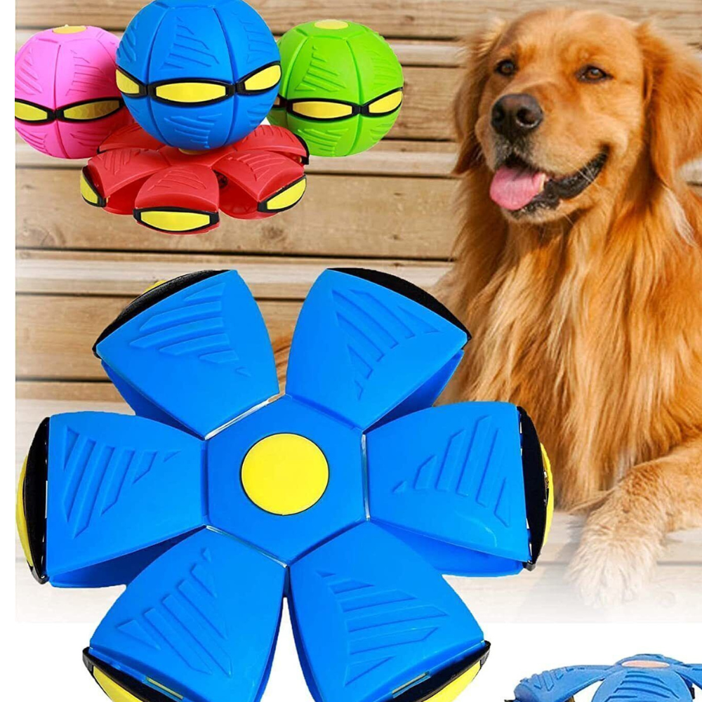 Paw Bounce Ball