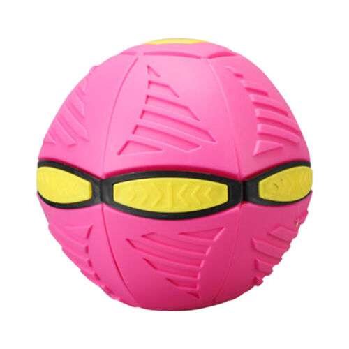 Paw Bounce Ball